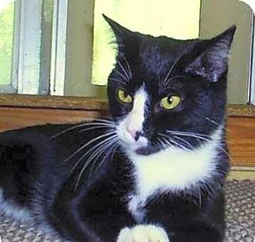 Photo of Dominic,R0159
