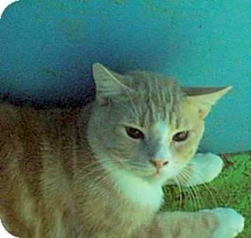 Photo of Dewey