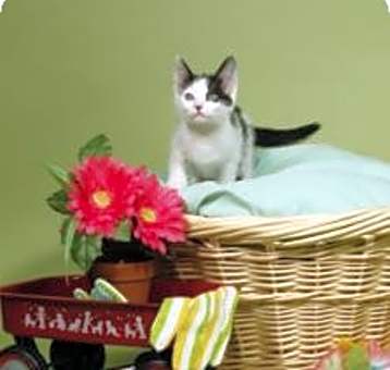 Photo of Augusta