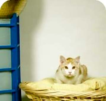 Photo of Peter