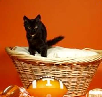 Photo of Jasmine