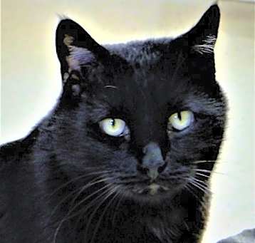 Photo of Louie