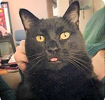 Photo of Jack