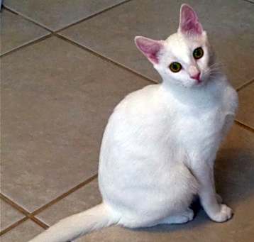 Photo of Ellie Mae