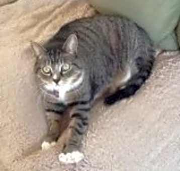 Photo of Hunter