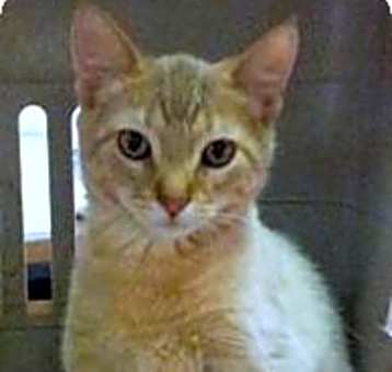 Photo of Elwood
