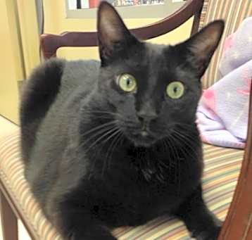 Photo of Norman