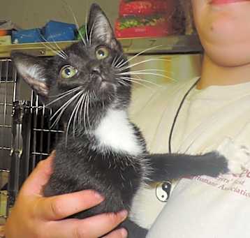 Photo of Pepper