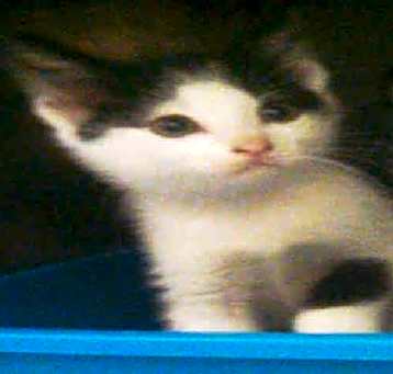Photo of A013941