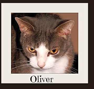 Photo of Oliver