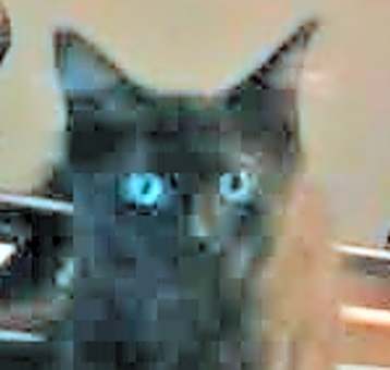 Photo of Lamae