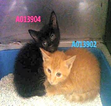 Photo of A013904