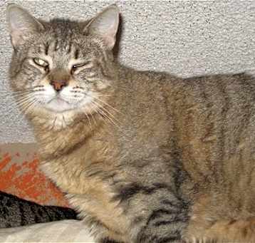 Photo of Bella