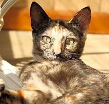 Photo of Libby