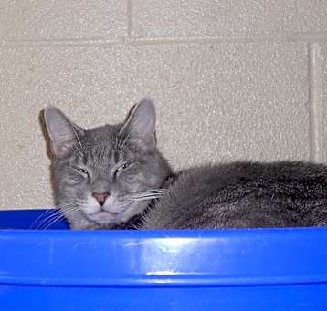 Photo of Clyde
