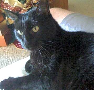 Photo of Loving Senior "Baby"