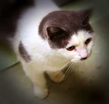 Photo of Mitzie