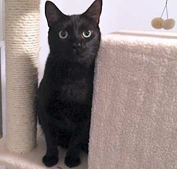 Photo of Salem