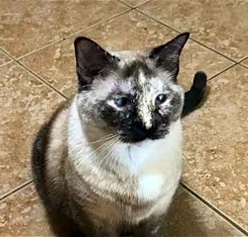 Photo of Skittles