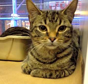 Photo of Minka