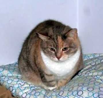 Photo of Shy "Lala"