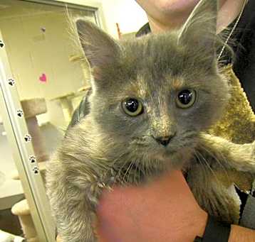Photo of Annabelle