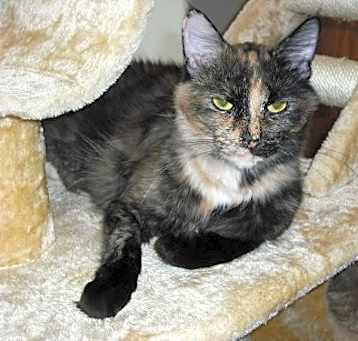 Photo of Georgie Girl