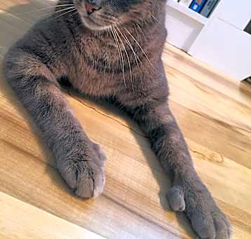 Photo of ERNEST/ Huge Personality