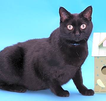 Photo of Mystic