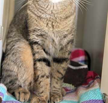 Photo of Java