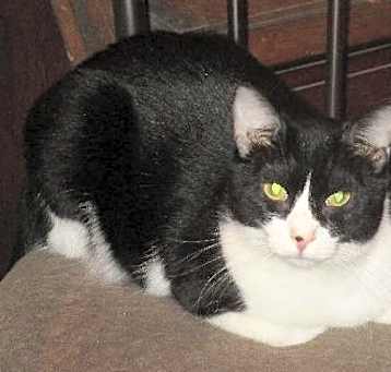 Photo of Cain