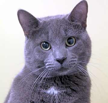 Photo of Clyde