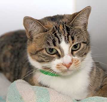 Photo of Keenley