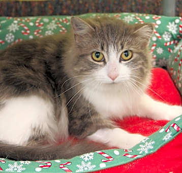 Photo of Kimberly