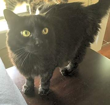 Photo of Walter