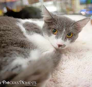Photo of Minnie Pearl