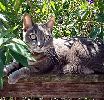 Photo of Mabel