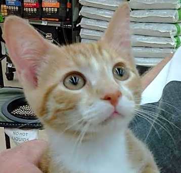 Photo of Elliot
