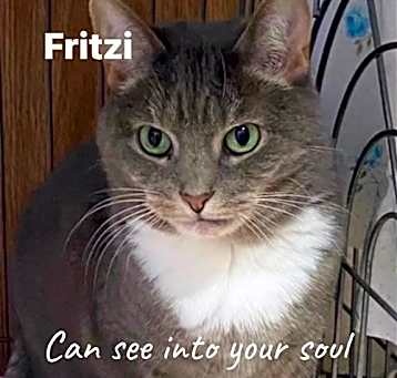 Photo of Fritzi