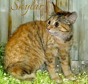 Photo of Skylar