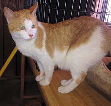 Photo of Marley