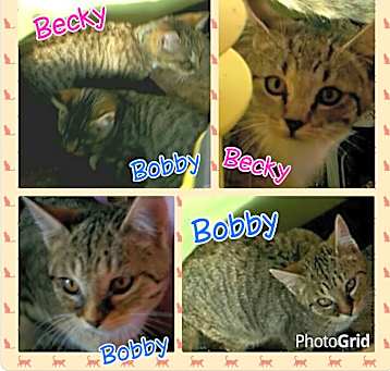 Photo of Bobby