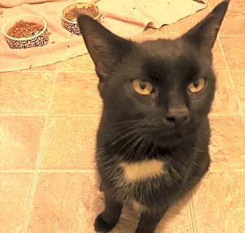 Photo of BOO