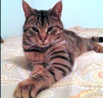 Photo of Leo