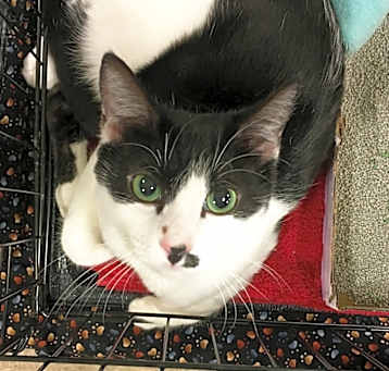 Photo of Sheena