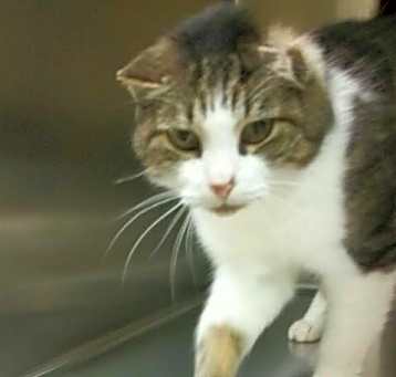 Photo of Stoney