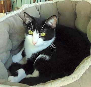 Photo of Pong