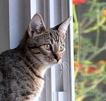 Photo of Skylar