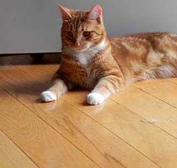 Photo of Reggie