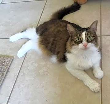 Photo of Bella